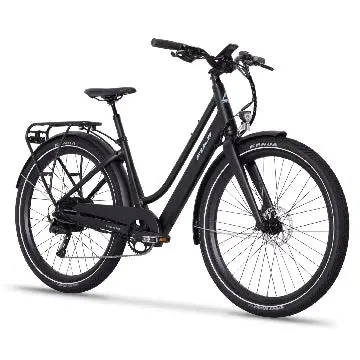 Fuji Boulevard Evo Ls Step Thru  E-Bike 3