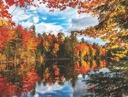 Autumn Lake (500 Pc) 1