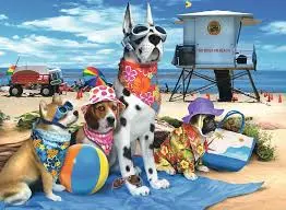 No Dogs On The Beach (100 Xxl) 1