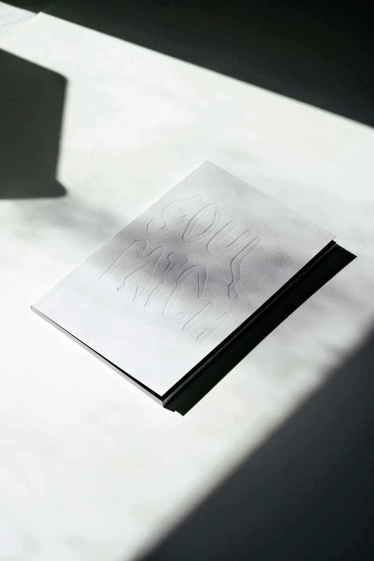 Soul Patch - Paper Back Book 1