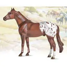Appaloosa: Inspired By Orren Mixer Art 1