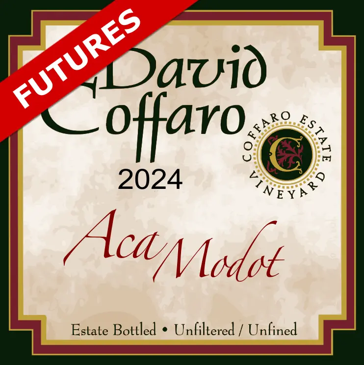 Aca Modot Futures 4