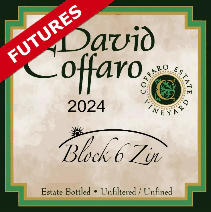 Block 6 Zin Futures 3