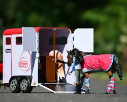 Two-Horse Trailer 1