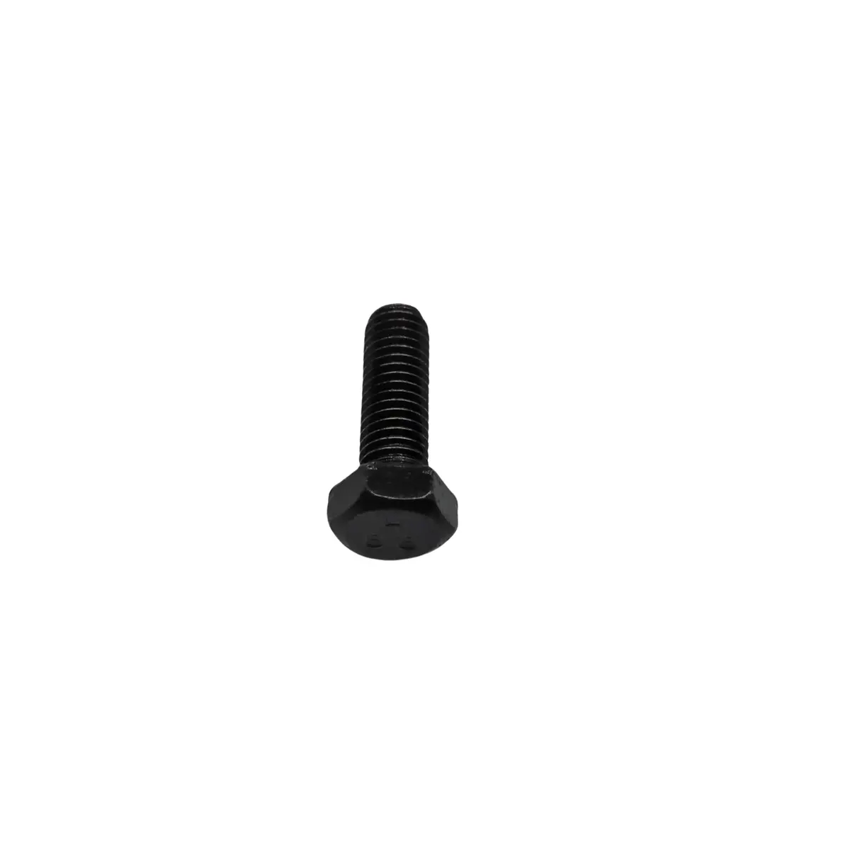 Hexagon Head Bolts 1