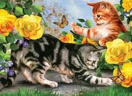 Kitten Play (11In X 15In) 1