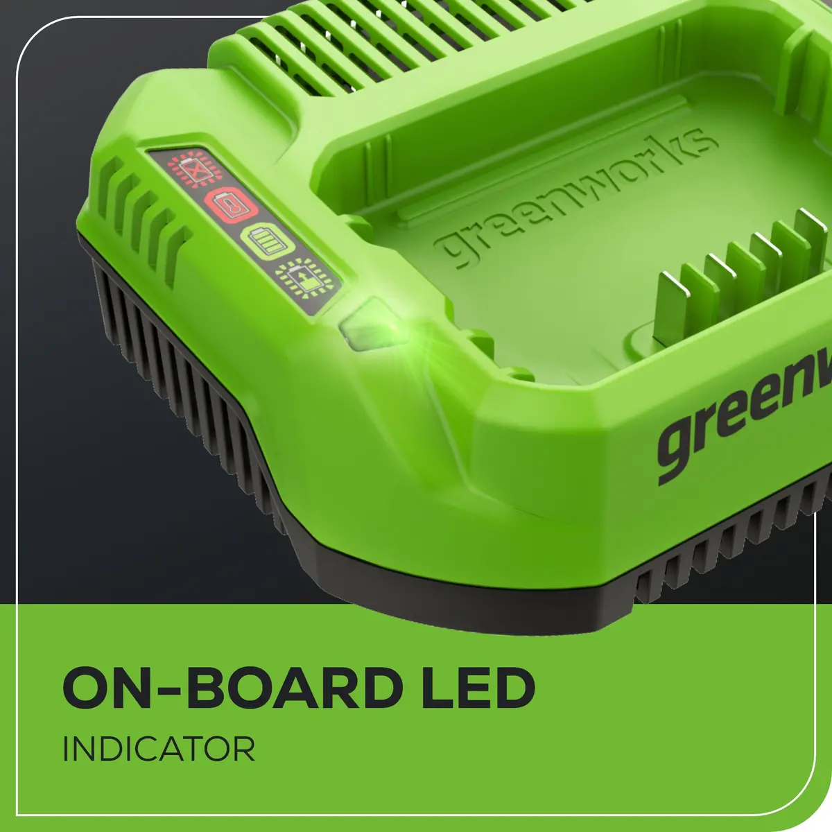 60V 3A Standard Charger 2
