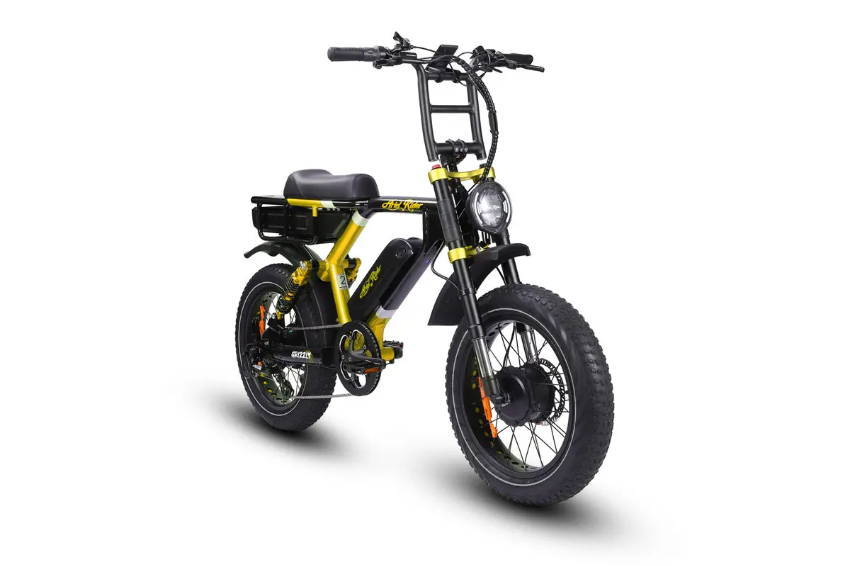 Grizzly - 52V Dual Motor Ebike 1