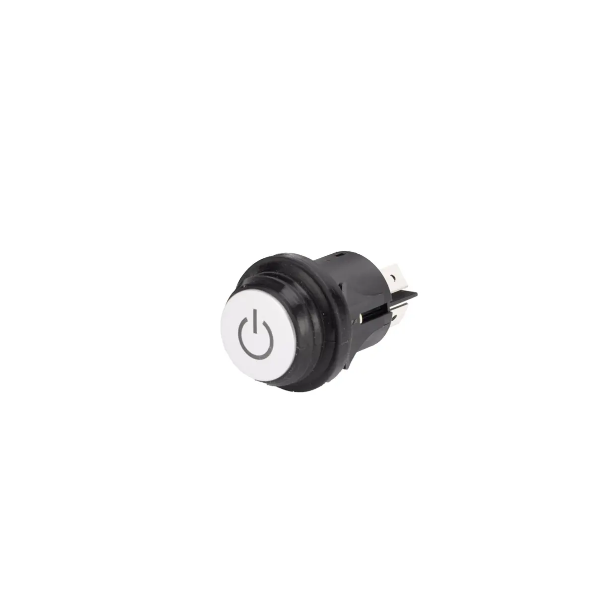 Switch R0206448-00 1