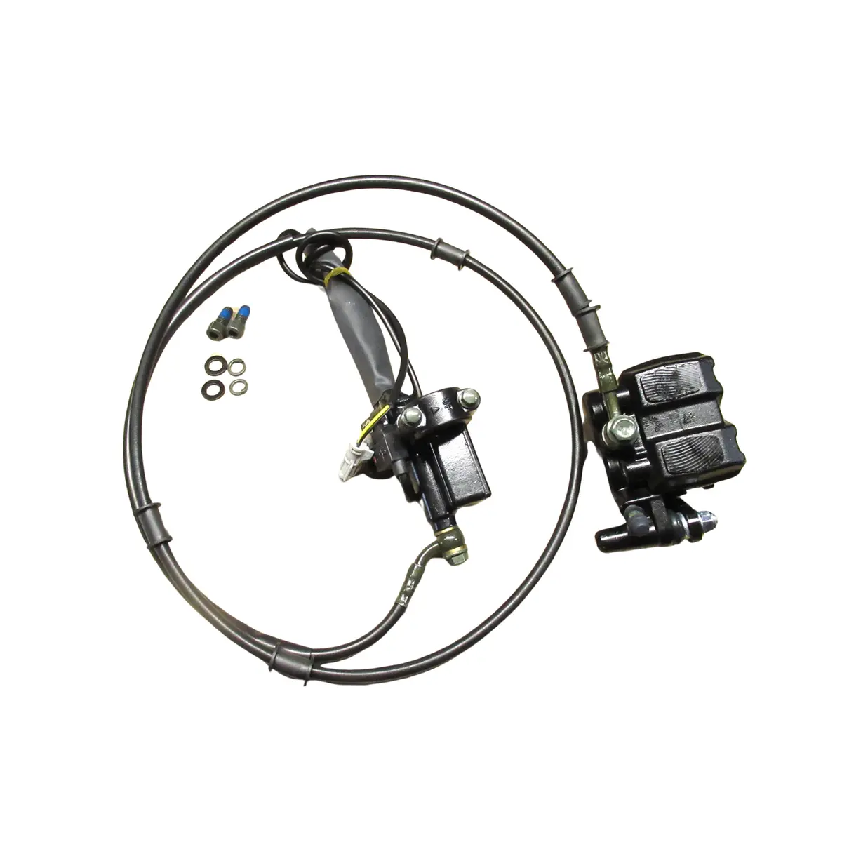 Rear Brake Assembly 1