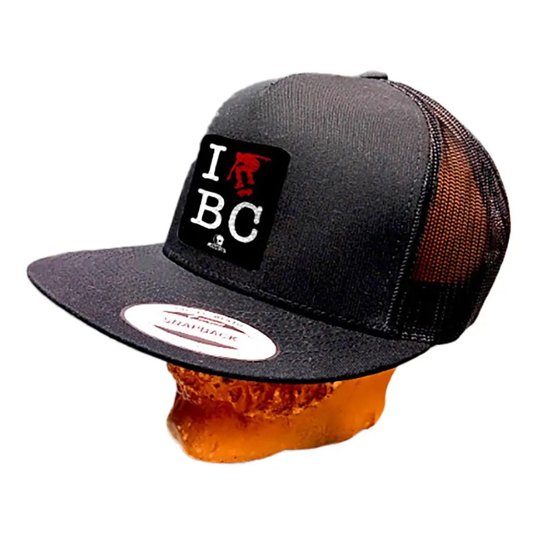 Skull Skates Snapback I Skate Bc Mesh Cap - Black 1
