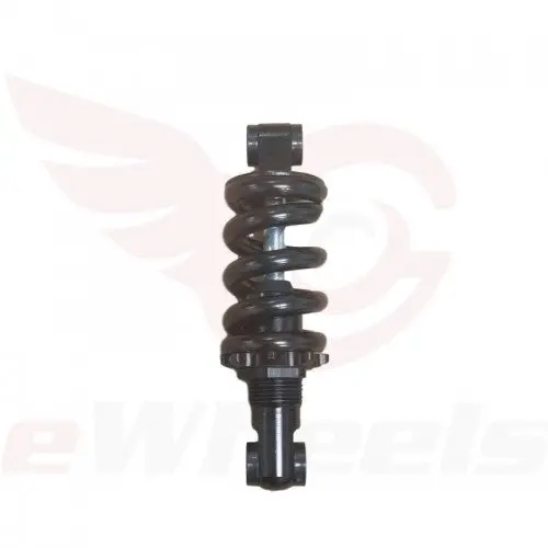 Tw Lightning: Suspension, Spring 1