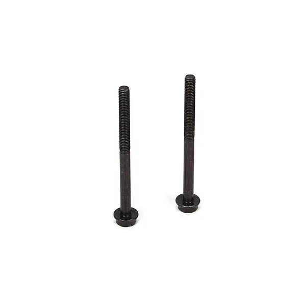 Losi Muffler Screw Set 1