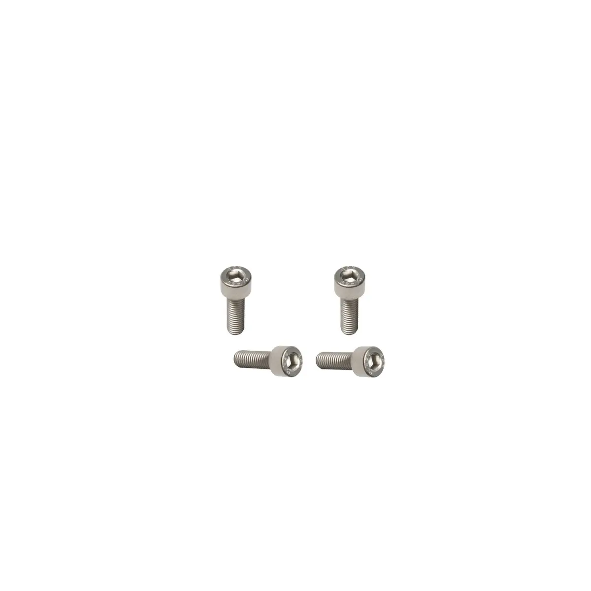 Fastace Alx33 Fork Axle Pinch Replacement Bolts. M5 X 16.0Mm Bolts 1