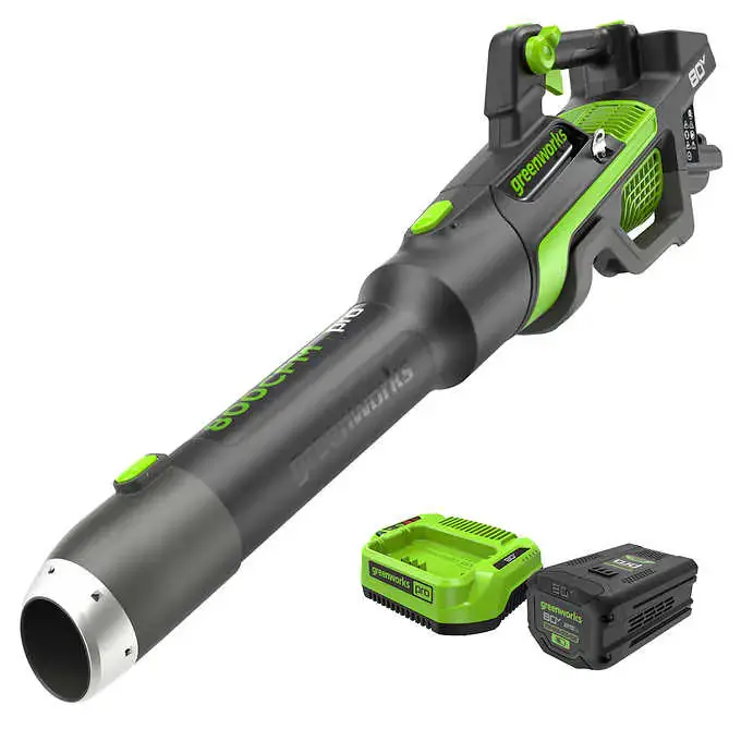 Renewed 80V 800 Cfm Brushless Leaf Blower: 2.5 Ah Battery And Charger 1