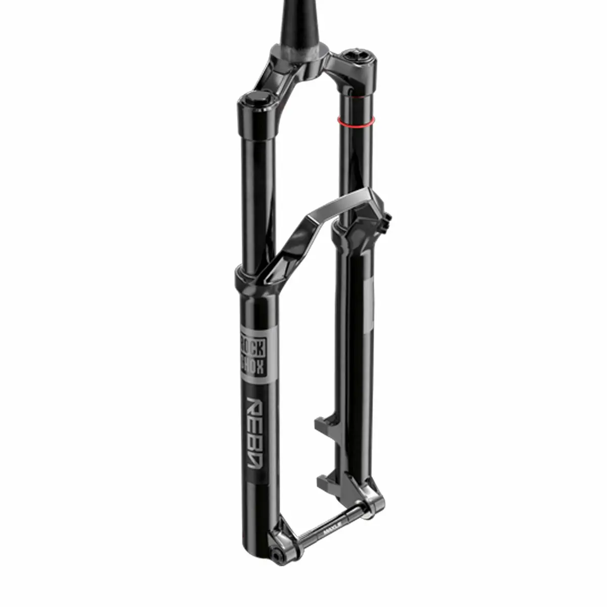 Rockshox Reba Rl [Oem] / Gloss Black / 120Mm / 29" 1