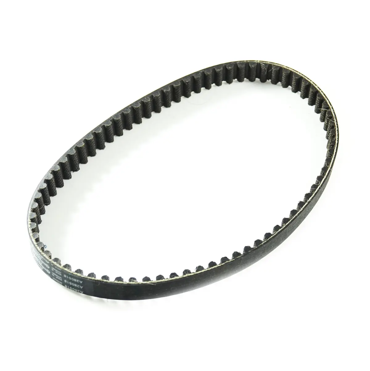 Light Bee Motor Drive Belt 1