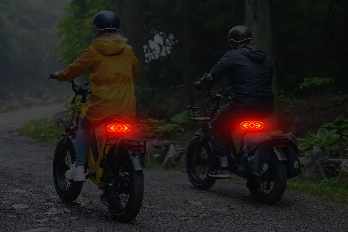 Ebike Tail Light With Turn Signals Wireless Remote Control Waterproof 2