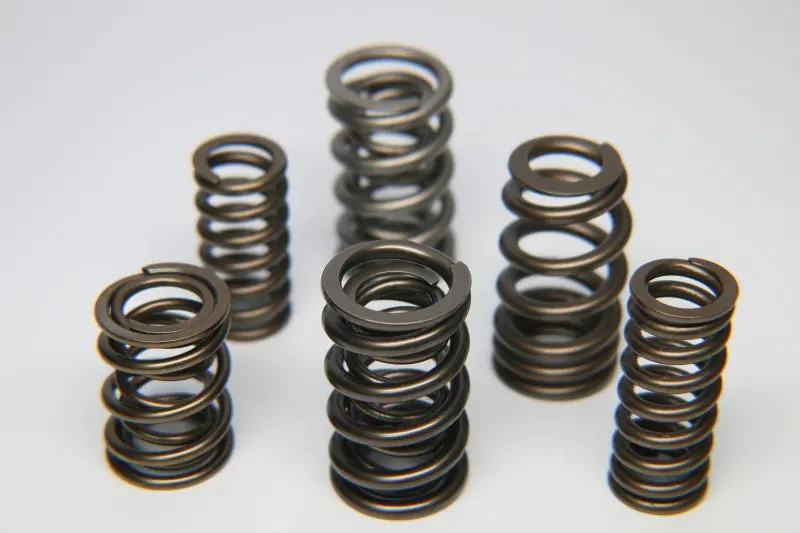 Ferrea Dual Valve Spring Kit For Bmw S54 Engine – 24-Piece Set 1